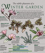 wintergarden page